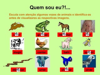 Quem sou eu?!...
Escuta com atenção algumas vozes de animais e identifica-as
antes de visualizares as respectivas imagens.
mugir
uivarassobiar
zumbir
urrar
cantar balir
chiar grasnar relinchar
chilrear
vagir
 
