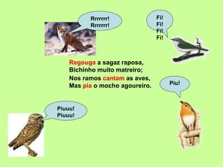 Regouga a sagaz raposa,
Bichinho muito matreiro;
Piuuu!
Piuuu!
Rrrrrrr!
Rrrrrrr!
Fi!
Fi!
Fi!
Fi!
Piu!
Nos ramos cantam as aves,
Mas pia o mocho agoureiro.
 