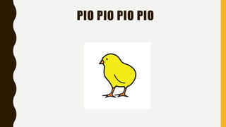 PIO PIO PIO PIO
 
