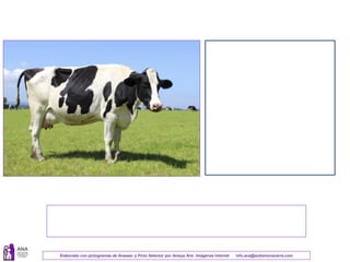 Elaborado con pictogramas de Arasaac y Picto Selector por Amaya Áriz Imágenes Internet info.ana@autismonavarra.com
 