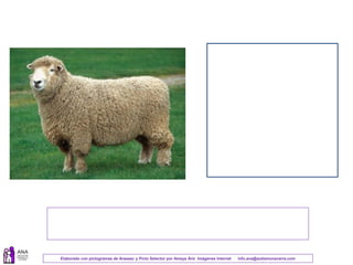 Elaborado con pictogramas de Arasaac y Picto Selector por Amaya Áriz Imágenes Internet info.ana@autismonavarra.com
 
