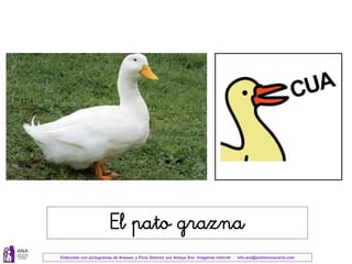 Elaborado con pictogramas de Arasaac y Picto Selector por Amaya Áriz Imágenes Internet info.ana@autismonavarra.com
El pato grazna
 