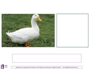 Elaborado con pictogramas de Arasaac y Picto Selector por Amaya Áriz Imágenes Internet info.ana@autismonavarra.com
 
