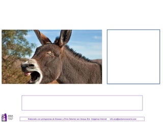 Elaborado con pictogramas de Arasaac y Picto Selector por Amaya Áriz Imágenes Internet info.ana@autismonavarra.com
 