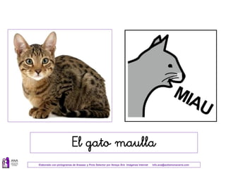 Elaborado con pictogramas de Arasaac y Picto Selector por Amaya Áriz Imágenes Internet info.ana@autismonavarra.com
El gato maulla
 