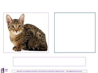 Elaborado con pictogramas de Arasaac y Picto Selector por Amaya Áriz Imágenes Internet info.ana@autismonavarra.com
 