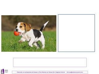 Elaborado con pictogramas de Arasaac y Picto Selector por Amaya Áriz Imágenes Internet info.ana@autismonavarra.com
 