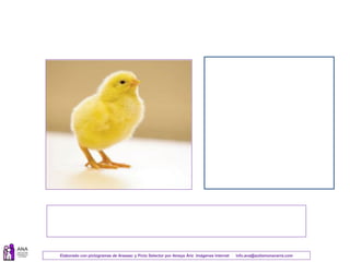 Elaborado con pictogramas de Arasaac y Picto Selector por Amaya Áriz Imágenes Internet info.ana@autismonavarra.com
 