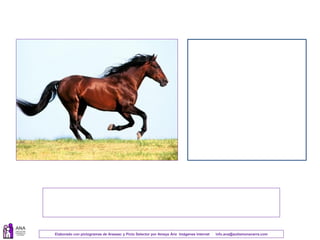 Elaborado con pictogramas de Arasaac y Picto Selector por Amaya Áriz Imágenes Internet info.ana@autismonavarra.com
 