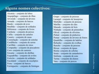 Alguns nomes colectivos:3Alcateia – conjunto de lobosArquipélago – conjunto de ilhasArvoredo – conjunto de árvoresArmada – conjunto de barcosBando – conjunto de avesBatalhão – conjunto de soldadosBiblioteca – conjunto de livrosCardume – conjunto de peixesCáfila – conjunto de camelosCasario – conjunto de casasConstelação – conjunto de estrelasCordilheira – conjunto de serrasCarrilhão – conjunto de sinosCompanha – conjunto de pescadoresCoro- conjunto de cantoresEnxame – conjunto de abelhasEsquadrilha – conjunto de aviõesExército – conjunto de soldadosEucaliptal – conjunto de eucaliptosFrota – conjunto de barcosFormigueiro – conjunto de formigasGrupo – conjunto de pessoasLaranjal - conjunto de laranjeirasMultidão – conjunto de pessoasMatilha – conjunto de cãesManada – conjunto de boisNinhada – conjunto de pintainhosOlival – conjunto de oliveirasPinhal – conjunto de pinheirosPomar – conjunto de árvores de frutosQuadrilha – conjunto de ladrõesRebanho – conjunto de ovelhasRancho – conjunto de pessoasRécua – conjunto de éguasRéstia- conjunto de cebolasSouto – conjunto de castanheirosSinfonia – conjunto de sonsTurma – conjunto de alunosVara – conjunto de porcosSílvia Carvalho, 2009