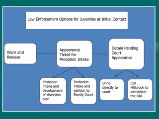 Warn and
Release
Appearance
Ticket for
Probation Intake
Probation
intake and
development
of diversion
plan
Probation
intake and
petition to
Family Court
Detain Pending
Court
Appearance
Bring
directly to
court
Call
Hillbrook to
administer
the RAI
Law Enforcement Options for Juveniles at Initial Contact
 