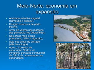 Meio-Norte: economia em expansão Atividade extrativa vegetal (carnaúba e babaçú). Criação extensiva de gado bovino; Arroz de várzea nas margens dos principais rios (Maranhão); Nas áreas mais secas (mandioca, milho e algodão); Soja nas áreas de cerrado (alta tecnologia); Após o Corredor de exportação Norte e do complexo portuário e industrial de São Luís  aumentaram as exportações. 
