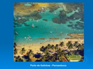 Porto de Galinhas - Pernambuco 