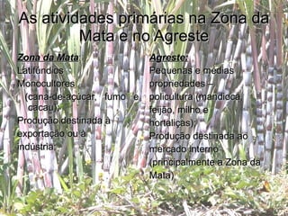 As atividades primárias na Zona da Mata e no Agreste Zona da Mata : Latifúndios  Monocultores (cana-de-açúcar, fumo e cacau); Produção destinada à exportação ou à  indústria; Agreste: Pequenas e médias  propriedades –  policultura (mandioca, feijão, milho e  hortaliças); Produção destinada ao mercado interno  (principalmente a Zona da  Mata) 