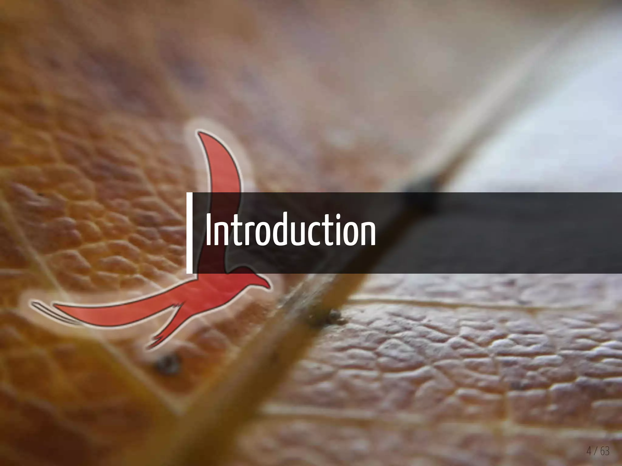Introduction
4 / 63
 