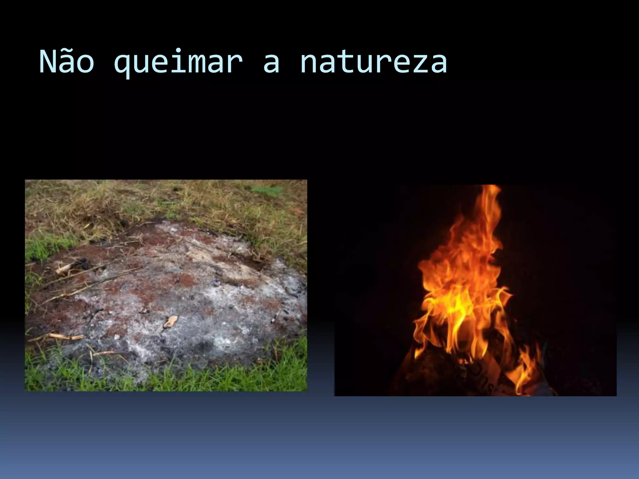 Não queimar a natureza