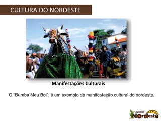 CULTURA DO NORDESTE 
Manifestações Culturais 
O “Bumba Meu Boi”, é um exemplo de manifestação cultural do nordeste. 
 