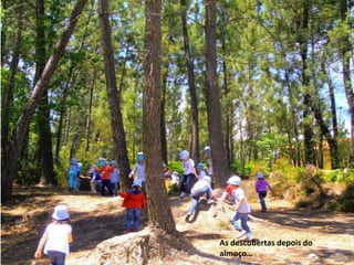 As descobertas depois do
almoço…
 