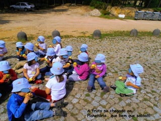 A fruta na chegada ao
Planetário… que bem que sabia!!!!
 