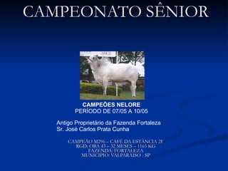 CAMPEONATO SÊNIOR CAMPEÃO M296 – CAFÉ DA ESTÂNCIA 2F RGD: OBA 43 – 32 MESES – 1165 KG FAZENDA: FORTALEZA MUNICIPIO: VALPARAISO - SP CAMPEÕES NELORE PERÍODO DE 07/05 A 10/05 Antigo Proprietário da Fazenda Fortaleza Sr. José Carlos Prata Cunha  