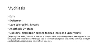 Mydriasis
• Dark
• Excitement
• Light colored iris, Myopic
• Anesthesia 2nd stage
• Ciliospinal reflex (pain applied to head ,neck and upper trunk)
(pupillary-skin reflex) consists of dilation of the ipsilateral pupil in response to pain applied to the
neck, face, and upper trunk. If the right side of the neck is subjected to a painful stimulus, the right
pupil dilates (increases in size 1-2mm from baseline).
 