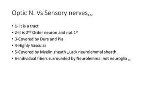 Optic N. Vs Sensory nerves,,,
• 1- it is a tract
• 2-it is 2nd Order neuron and not 1st
• 3-Covered by Dura and Pia
• 4-Highly Vascular
• 5-Covered by Myelin sheath ,,Lack neurolemmal sheath…
• 6-individual fibers surrounded by Neurolemmal not neuroglia ,,,
 