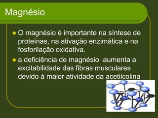 MagnésioO magnésio é importante na síntese de proteínas, na ativação enzimática e na fosforilação oxidativa. a deficiência de magnésio  aumenta a excitabilidade das fibras musculares devido á maior atividade da acetilcolina 