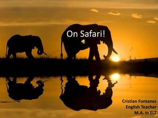 On Safari!




             Cristian Fontanez
               English Teacher
                    M.A. in ELT
 