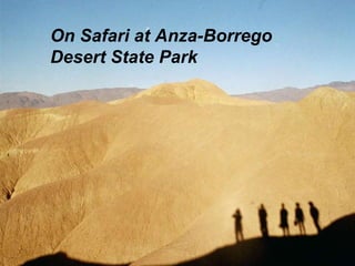 On Safari at Anza-Borrego Desert State Park 
