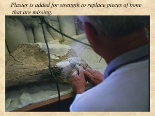 Plaster is added for strength to replace pieces of bone that are missing.   