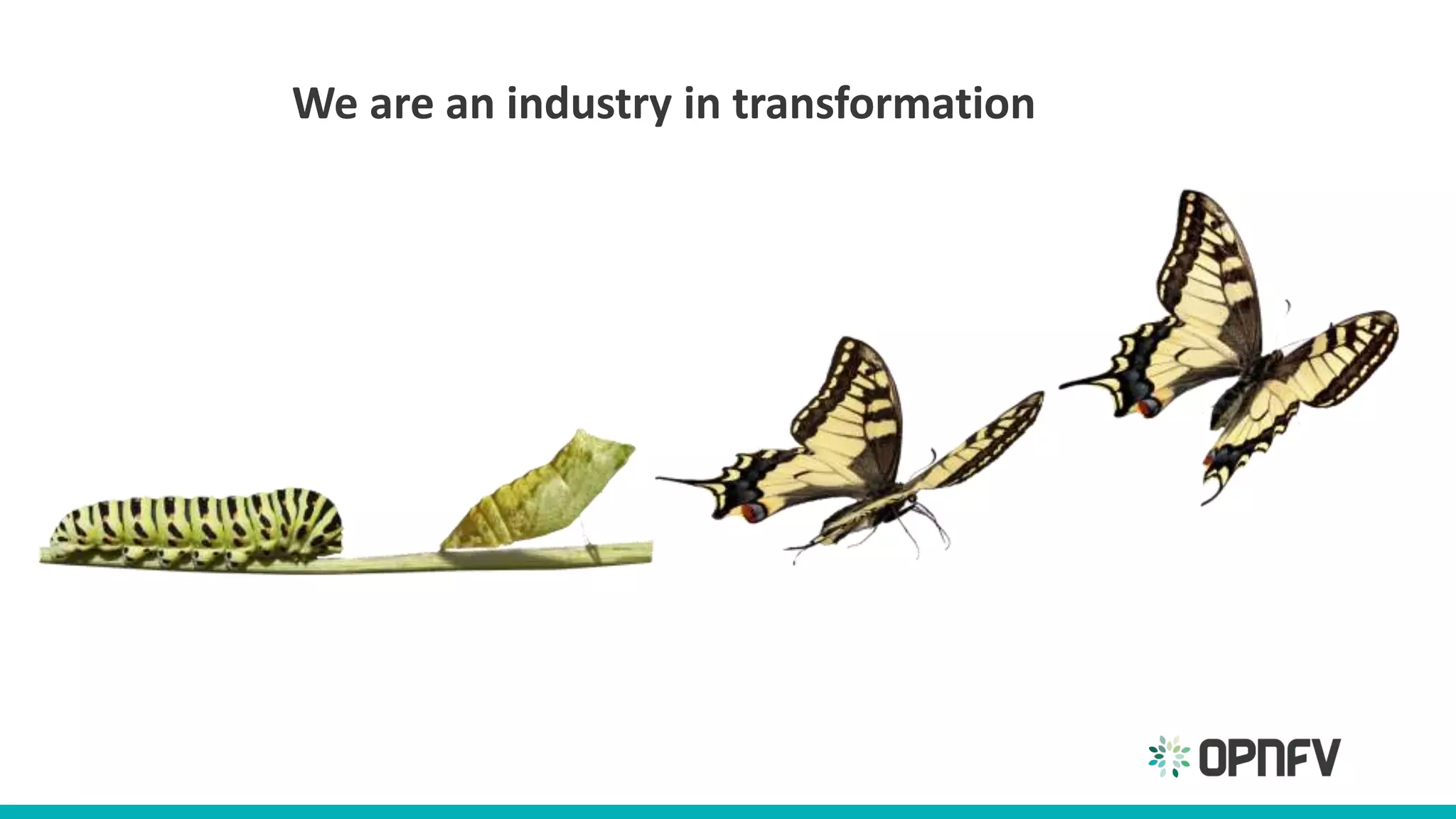 We are an industry in transformation
 