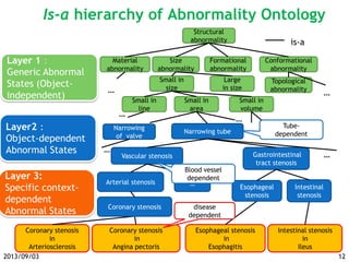 Structural
abnormality
Size
abnormality
Formational
abnormality
Conformational
abnormality
Small in
size
Small in
line
Small in
area
Small in
volume
Narrowing tube
Vascular stenosis Gastrointestinal
tract stenosis
Arterial stenosis …
Intestinal
stenosis
Layer 1：
Generic Abnormal
States (Object-
independent)
Layer 3:
Specific context-
dependent
Abnormal States
Coronary stenosis
in
Angina pectoris
Coronary stenosis
in
Arteriosclerosis
Intestinal stenosis
in
Ileus
Esophageal stenosis
in
Esophagitis
Esophageal
stenosis
is-a
Material
abnormality
Large
in size
disease
dependent
Blood vessel
dependent
Topological
abnormality
……
…
Is-a hierarchy of Abnormality Ontology
12
Tube-
dependent…
Narrowing
of valve
Layer2：
Object-dependent
Abnormal States
…
…
…
Coronary stenosis
2013/09/03
 