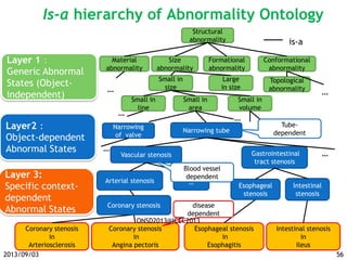 Structural
abnormality
Size
abnormality
Formational
abnormality
Conformational
abnormality
Small in
size
Small in
line
Small in
area
Small in
volume
Narrowing tube
Vascular stenosis Gastrointestinal
tract stenosis
Arterial stenosis …
Intestinal
stenosis
Layer 1：
Generic Abnormal
States (Object-
independent)
Layer 3:
Specific context-
dependent
Abnormal States
Coronary stenosis
in
Angina pectoris
Coronary stenosis
in
Arteriosclerosis
Intestinal stenosis
in
Ileus
Esophageal stenosis
in
Esophagitis
Esophageal
stenosis
is-a
Material
abnormality
Large
in size
disease
dependent
Blood vessel
dependent
Topological
abnormality
……
…
Is-a hierarchy of Abnormality Ontology
56
Tube-
dependent…
Narrowing
of valve
Layer2：
Object-dependent
Abnormal States
…
…
…
Coronary stenosis
2013/09/03
ONSD2013@ICEC2013
 