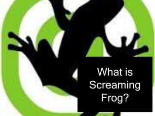 What is
Screaming
Frog?
 