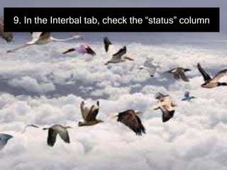 9. In the Interbal tab, check the “status” column
 