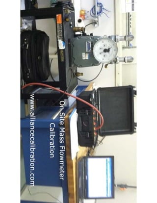 On Site Mass Flowmeter Calibration