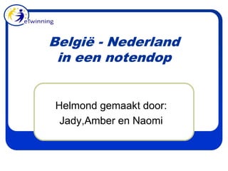 België - Nederlandin een notendop Helmond gemaakt door: Jady,Amber en Naomi 