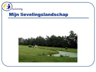 Mijn lievelingslandschap