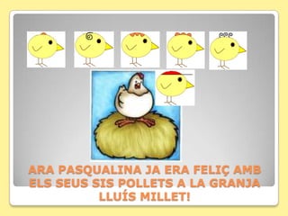 ARA PASQUALINA JA ERA FELIÇ AMB
ELS SEUS SIS POLLETS A LA GRANJA
          LLUÍS MILLET!
 