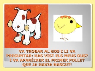 VA TROBAR AL GOS I LI VA
PREGUNTAR: HAS VIST ELS MEUS OUS?
 I VA APARÈIXER EL PRIMER POLLET
       QUE JA HAVIA NASCUT!
 