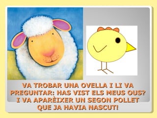VA TROBAR UNA OVELLA I LI VA
PREGUNTAR: HAS VIST ELS MEUS OUS?
 I VA APARÈIXER UN SEGON POLLET
       QUE JA HAVIA NASCUT!
 