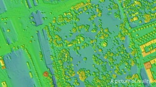 A picture of reality
 