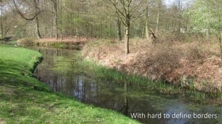 With hard to define borders
 