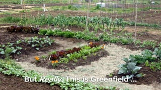 Confidential │ © 2020 VMware, Inc.
But Really, This is Greenfield ...
 