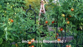 Confidential │ © 2020 VMware, Inc.
… and This is Brownfield !
 