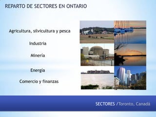 REPARTO DE SECTORES EN ONTARIO

Agricultura, silvicultura y pesca
Industria
Minería
Energía
Comercio y finanzas

SECTORES /Toronto, Canadá

 