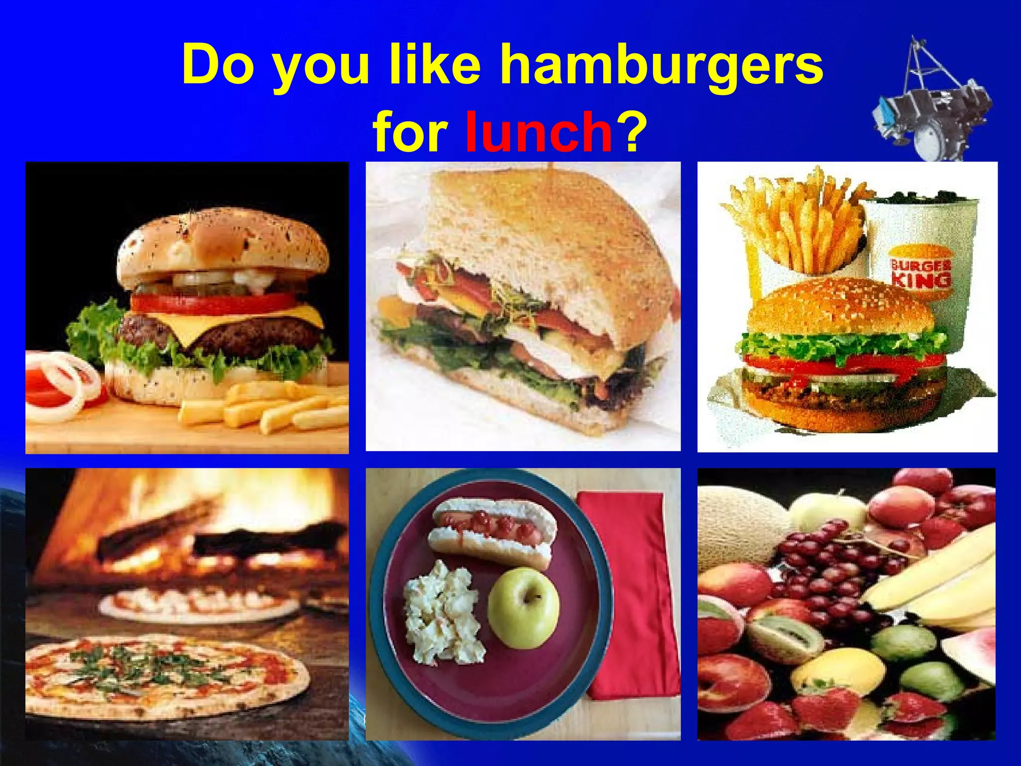 Do you like hamburgers  for  lunch ? 
