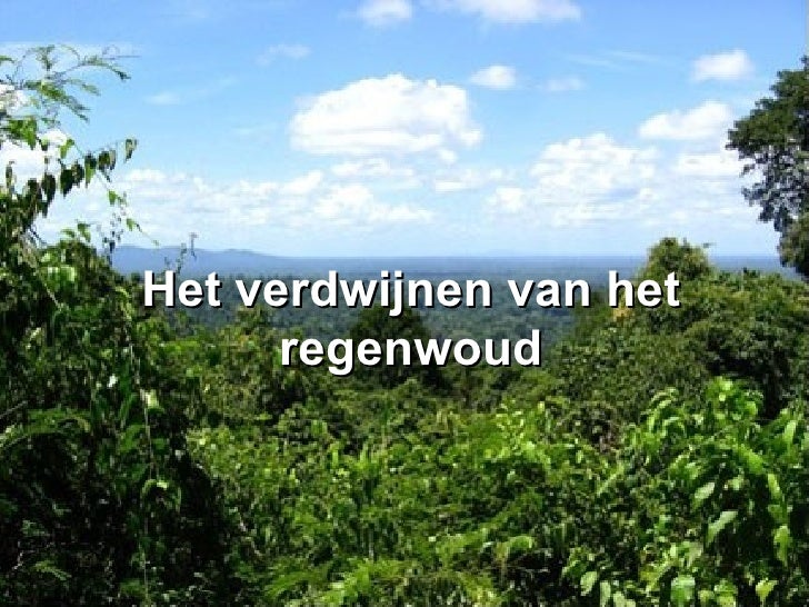 Ontbossing Van Het Tropische Regenwoud