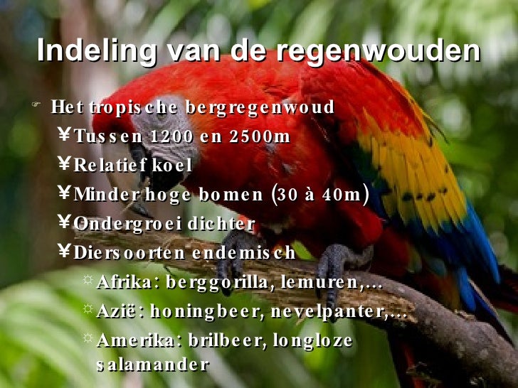 Ontbossing Van Het Tropische Regenwoud