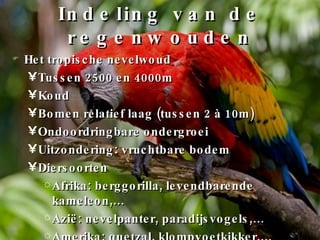 Indeling van de regenwouden Het tropische nevelwoud Tussen 2500 en 4000m Koud Bomen relatief laag (tussen 2 à 10m) Ondoordringbare ondergroei Uitzondering: vruchtbare bodem Diersoorten Afrika: berggorilla, levendbarende kameleon,… Azië: nevelpanter, paradijsvogels,… Amerika: quetzal, klompvoetkikker,… 